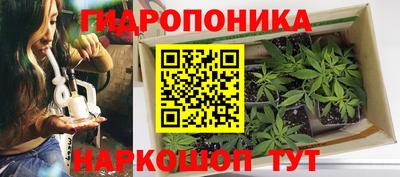 гашик Канаш