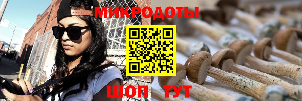 Карасук  Псилоцибиновые грибы ЛСД  где продают   Вход с VPN 