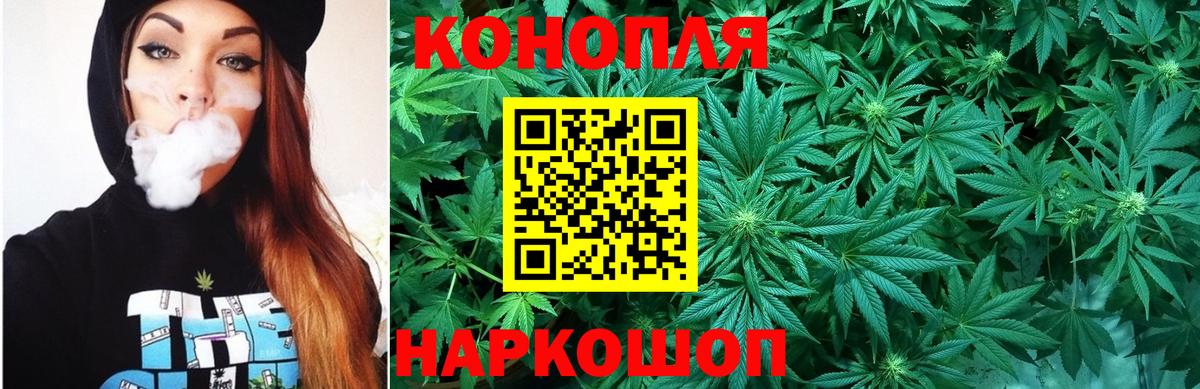 Конопля OG Kush Карасук